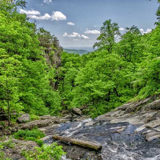 Cara Mengatur Keuangan Pribadi agar Tetap Stabil